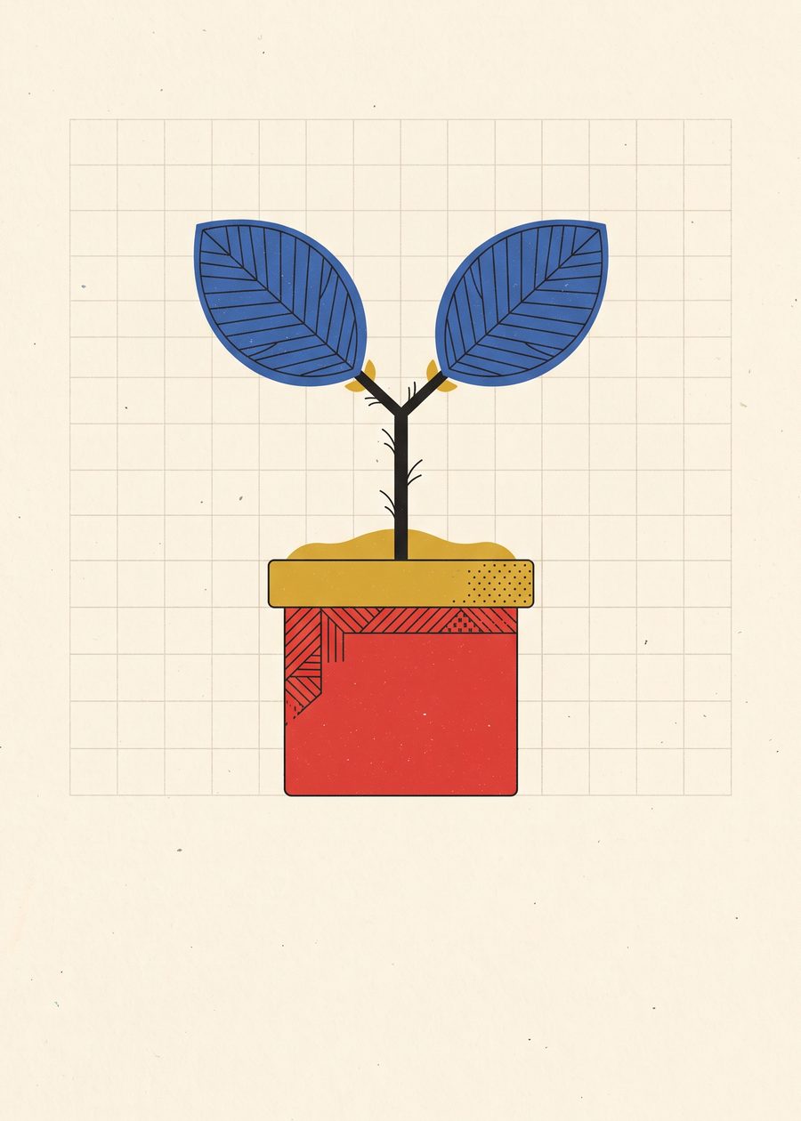 a seedling with two cobalt semicircle leaves on a short black bar stem rising from a red square pot