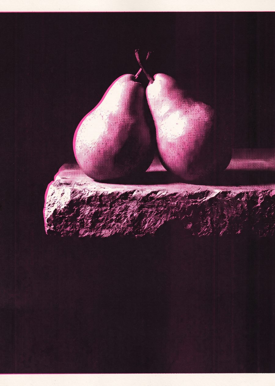 two ripe pears leaning into each other on a stone ledge